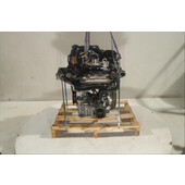 Motor gasolina