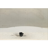 Interruptor de arranque