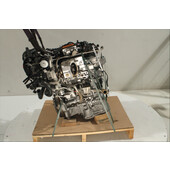 Motor gasolina
