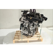 Motor gasolina