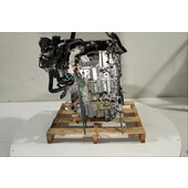 Motor gasolina