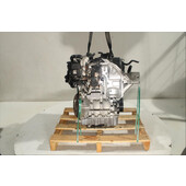 Motor gasolina
