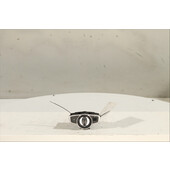 Interruptor y palanca de luces