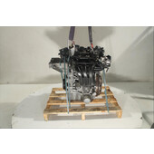Motor gasolina