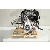 Motor gasolina