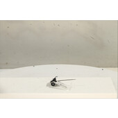 Interruptor de arranque