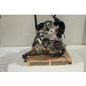 Motor gasolina