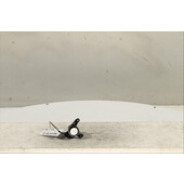 Interruptor de arranque