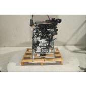 Motor gasolina