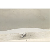 Interruptor de arranque