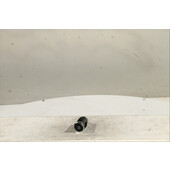 Interruptor de arranque