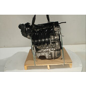 Motor gasolina