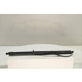 Amortiguador Der. portón