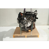 Motor gasolina