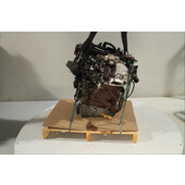 Motor gasolina