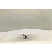 Interruptor de arranque