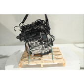 Motor gasolina