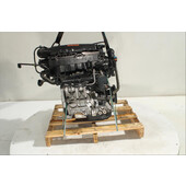 Motor gasolina