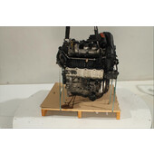 Motor gasolina