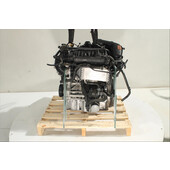 Motor gasolina