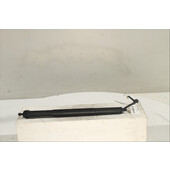 Amortiguador Der. portón