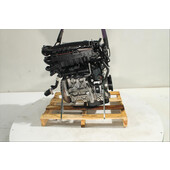 Motor gasolina