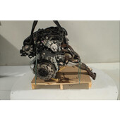 Motor gasolina