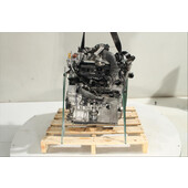 Motor gasolina