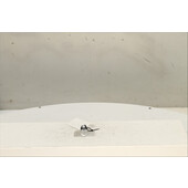 Interruptor de arranque