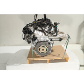 Motor gasolina