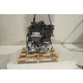 Motor gasolina
