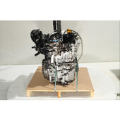 Motor gasolina