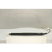 Amortiguador Izq. portón