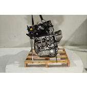 Motor gasolina