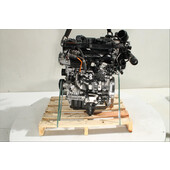 Motor gasolina