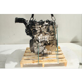 Motor gasolina