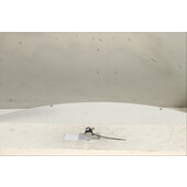 Interruptor de arranque