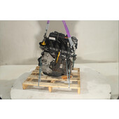 Motor gasolina