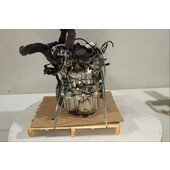 Motor gasolina