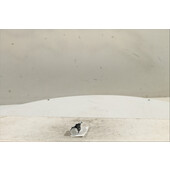 Interruptor de arranque