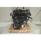 Motor gasolina