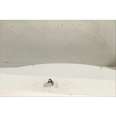 Interruptor de arranque