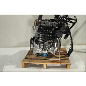 Motor gasolina