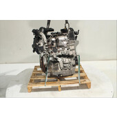 Motor gasolina