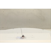 Interruptor de arranque