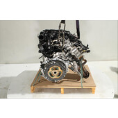 Motor gasolina