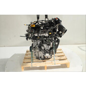 Motor gasolina