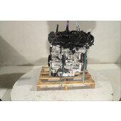Motor gasolina
